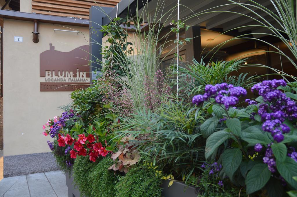 Locanda Blum In Rovetta Екстериор снимка
